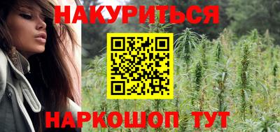 крисы Вышний Волочёк