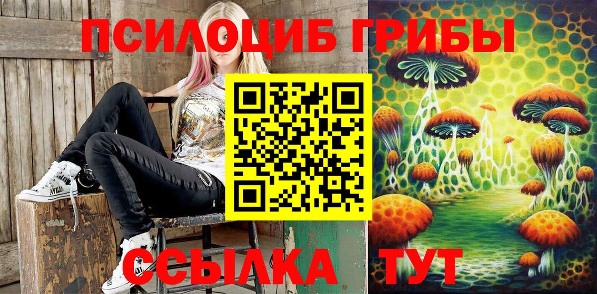 Псилоцибиновые грибы прущие грибы Гулькевичи