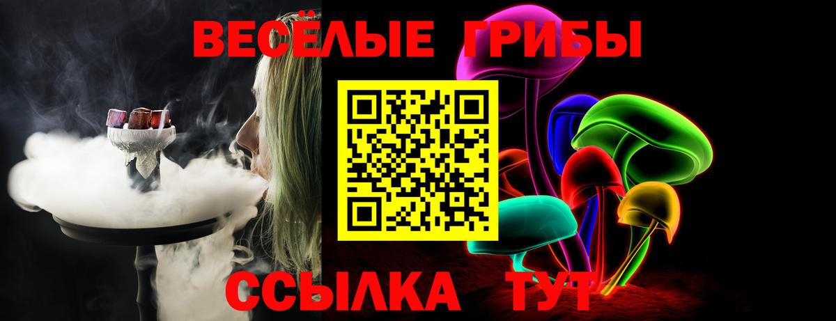 Гулькевичи  Галлюциногенные грибы прущие грибы  Вход с VPN 